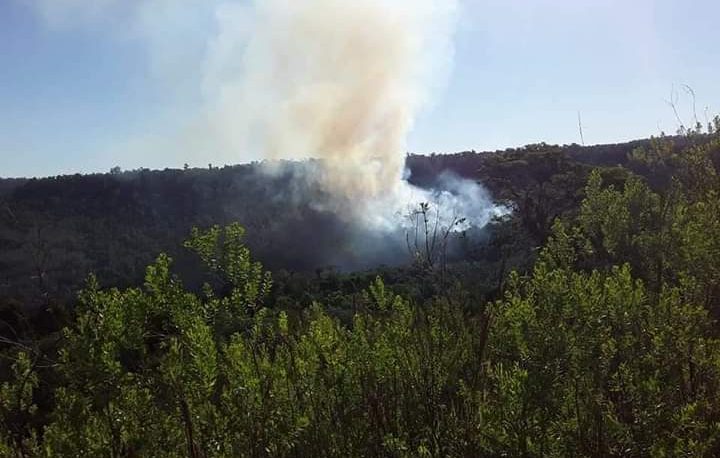 Reserva Yaboty: 20 hectáreas fueron consumidas por el fuego