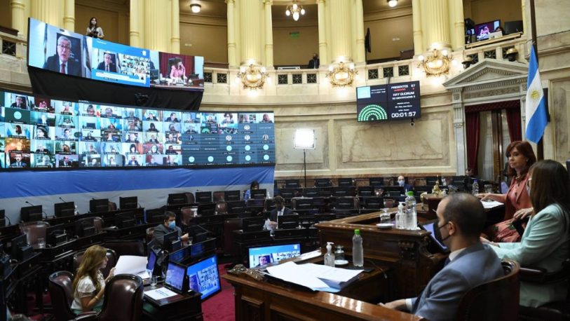 Con el voto de Closs y Solari, prorrogaron las sesiones virtuales en el Senado