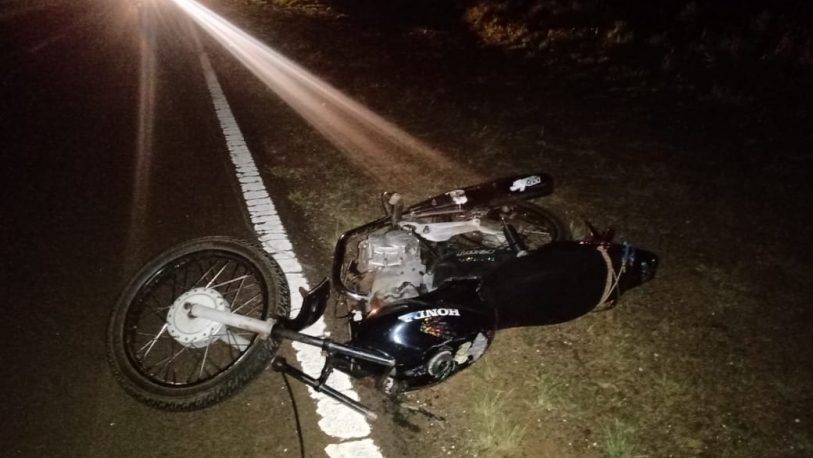 Un motociclista murió tras chocar a un animal vacuno