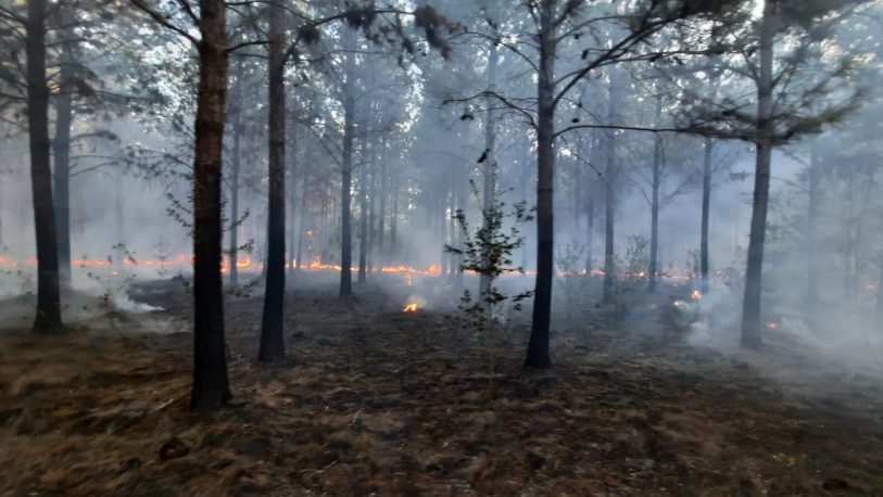 Incendios forestales: en Misiones, hay bomberos voluntarios que no tienen ni botiquín