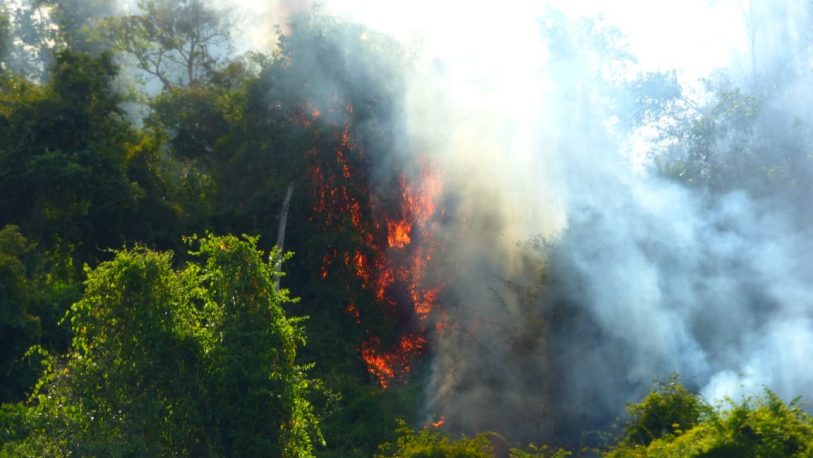 Incendios en Misiones: Desde enero se quemaron más de 1.731 hectáreas