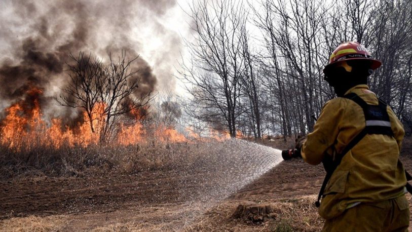 Hay cinco provincias afectadas por los incendios forestales