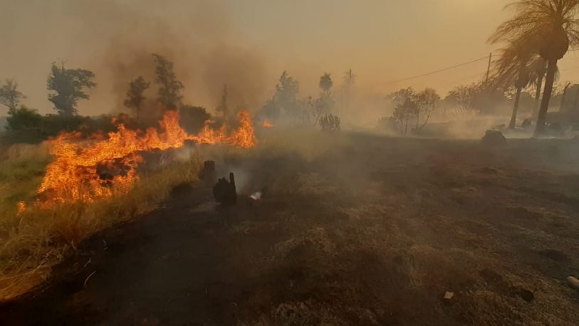 Sofocaron incendio de malezas en Itaembé Miní