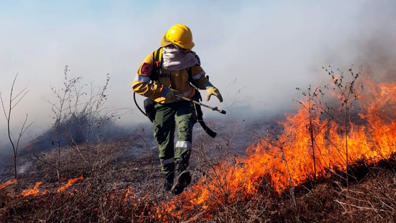 Pronostican más incendios forestales para el verano