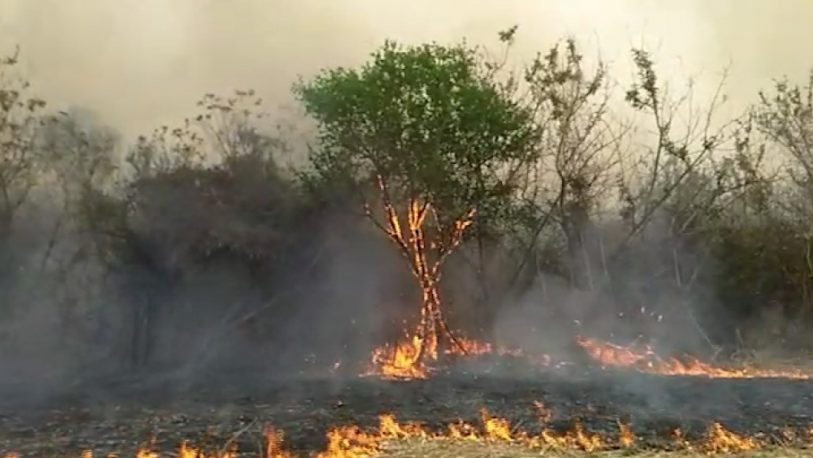 Incendios forestales: Misiones, Jujuy y Entre Ríos mantienen focos activos