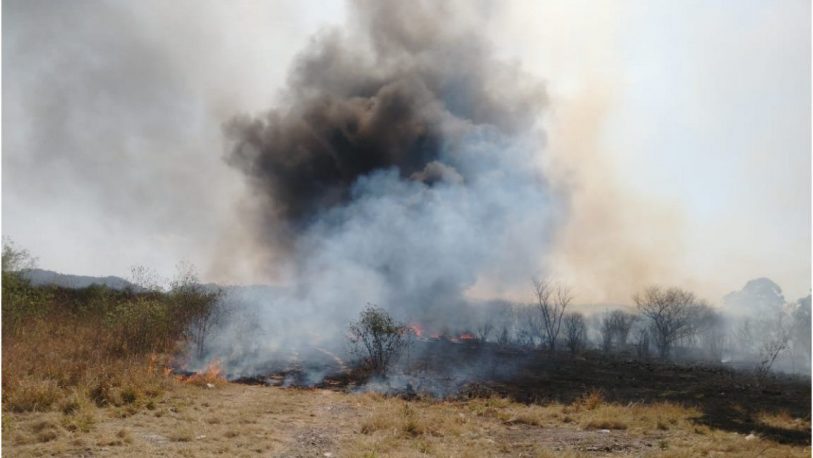 Jujuy es la provincia más afectada por los incendios forestales