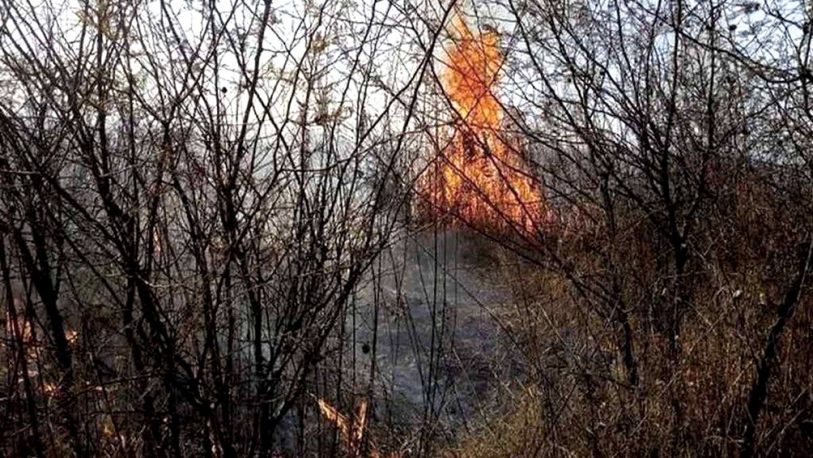 Hay cuatro provincias afectadas por incendios forestales
