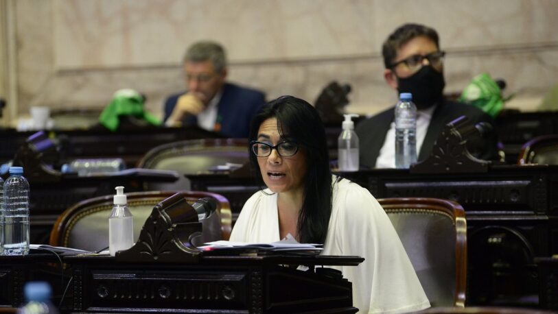 La renovadora Flavia Morales anunció que vota a favor del Aborto Legal