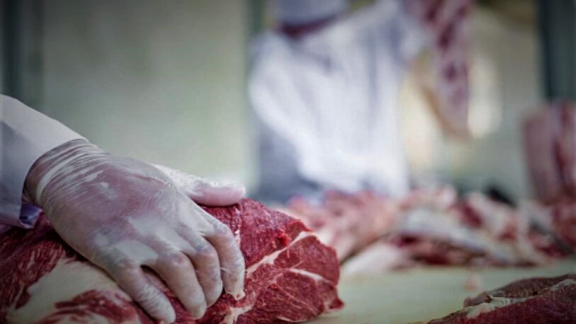 El precio de la carne aumentó más del 76% en el último año