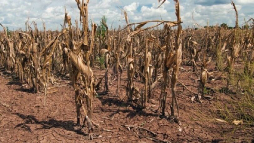 Por la sequía, se estiman pérdidas de casi US$20 mil millones