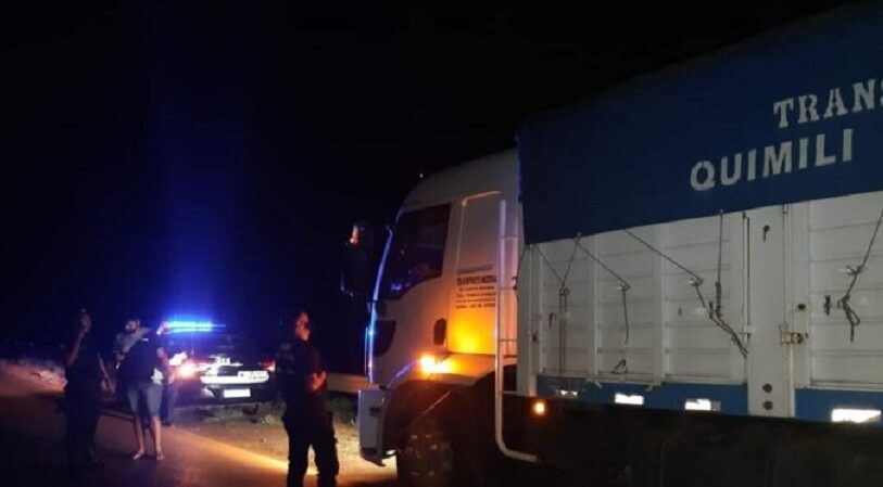 Interceptaron un camión que ingresó ilegalmente con cargamento de soja