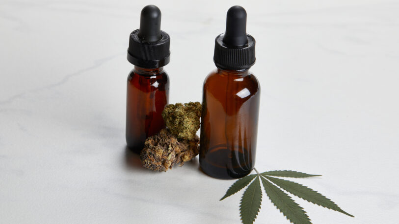 ¿Cómo será la distribución del cannabis medicinal que hará Misio Pharma SE?