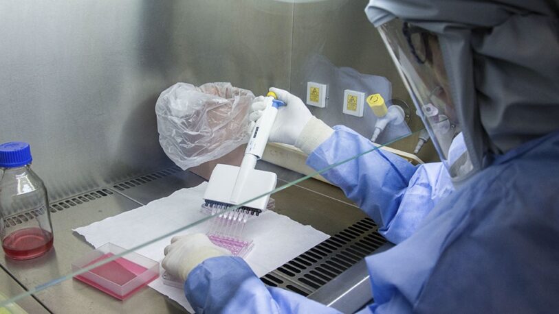 Coronavirus en Misiones: Confirmaron 117 nuevos casos y dos muertes