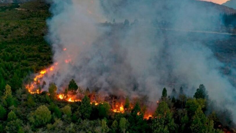 Río Negro: incendio fuera de control arrasó al menos 6500 hectáreas