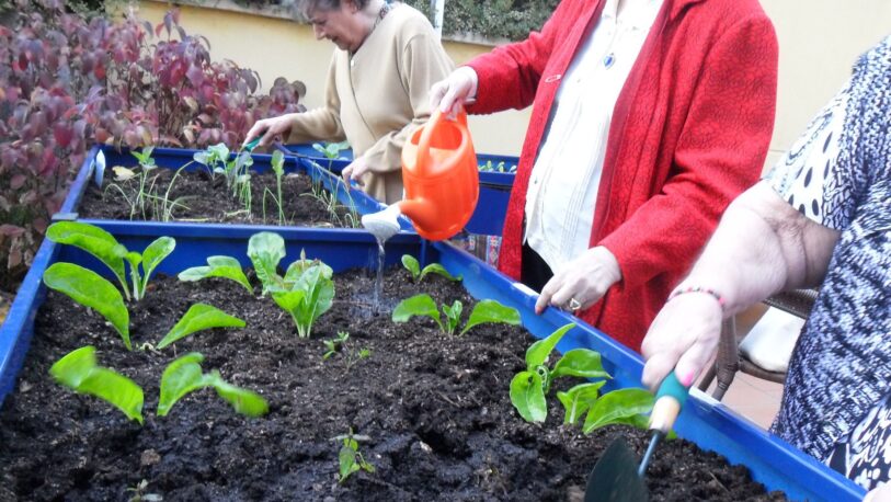 Los beneficios terapéuticos de la horticultura en adultos mayores