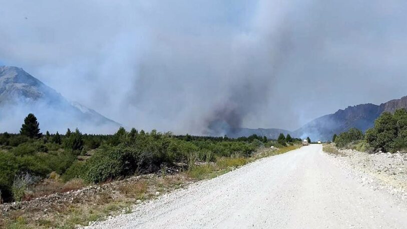 Los incendios forestales quemaron más de un millón de hectáreas en el país