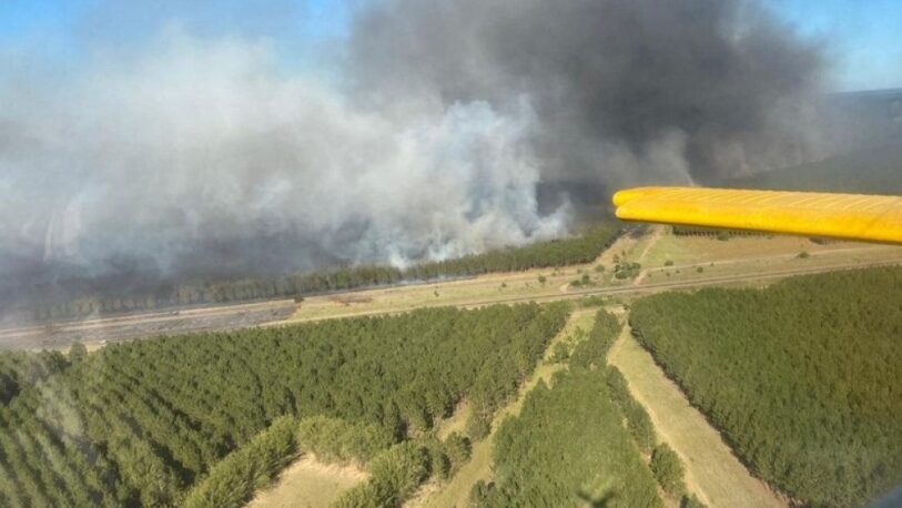 Corrientes: Rige la emergencia forestal por incendios rurales
