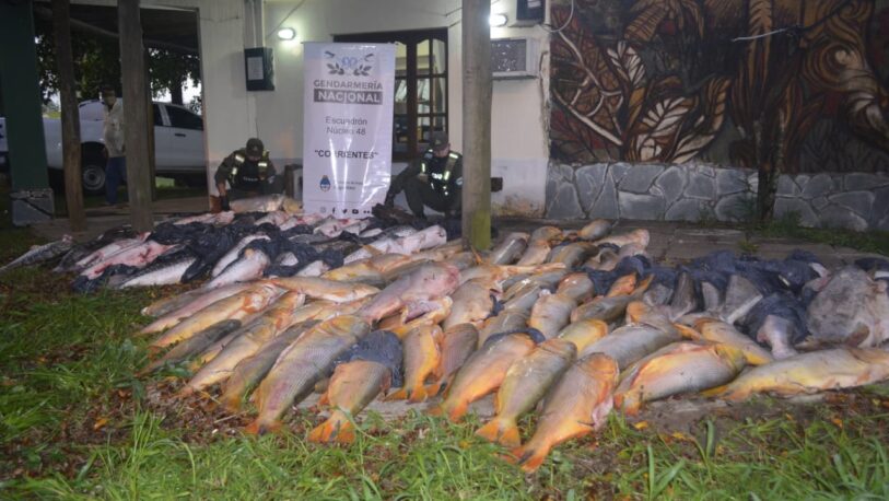 Pesca ilegal: secuestran 200 kilos de pescados por un valor de $1 millón