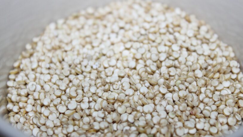 ¿Por qué la quinoa es considerada un superalimento?