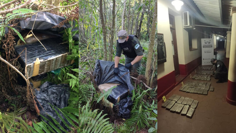San Ignacio: hallaron 59 kilos de marihuana ocultos entre la vegetación