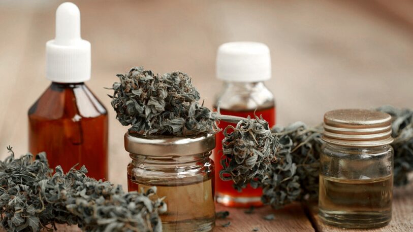 Reglamentaron el registro de autocultivo de cannabis medicinal