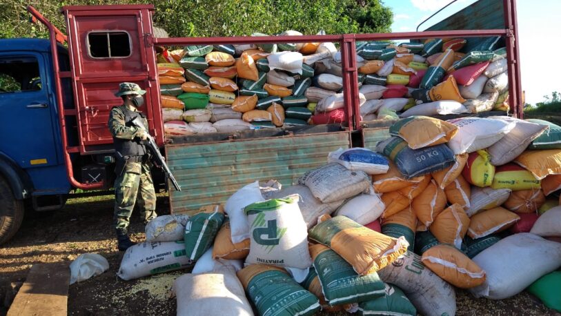 Secuestraron casi once toneladas de maíz ilegal
