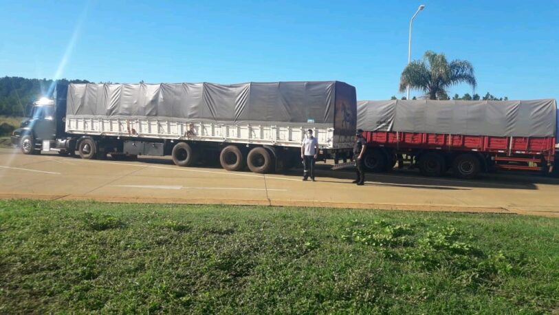 Dos camiones con carga ilegal de soja fueron interceptados en el ingreso a Misiones