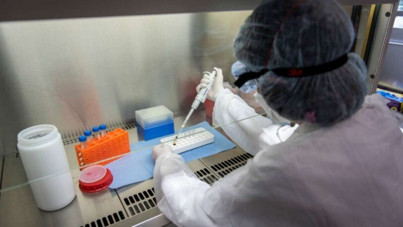 Coronavirus en Misiones: 127 nuevos casos y otras dos muertes