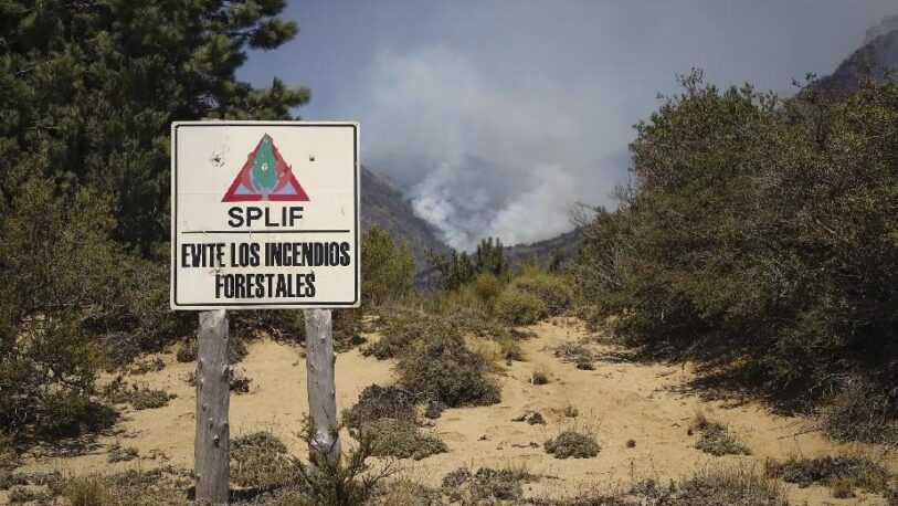 Misiones y otras 4 provincias registran focos de incendios forestales