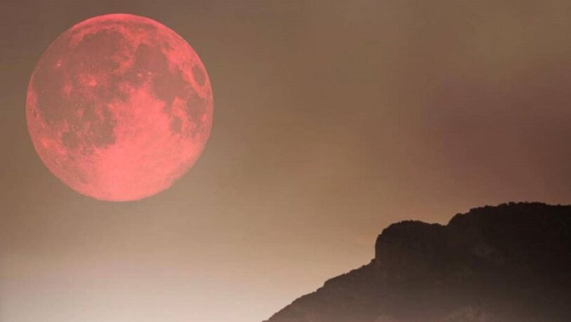 Superluna rosa en Escorpio: su influencia sobre cada signo del zodiaco