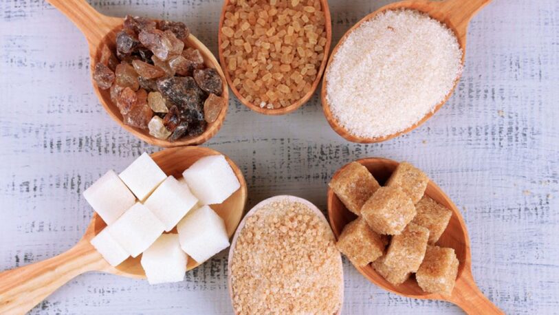 Cuáles son los beneficios y contraindicaciones del azúcar magro