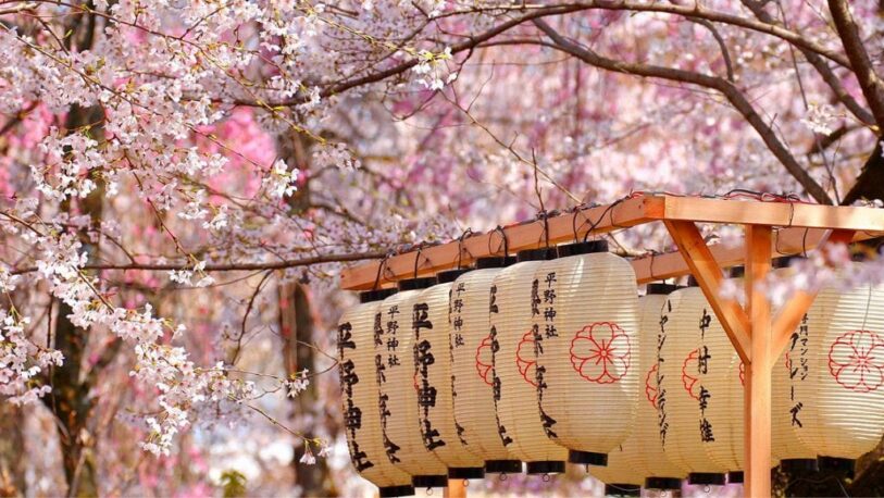 Temprana floración de cerezos en Japón: marcó un récord en 1200 años