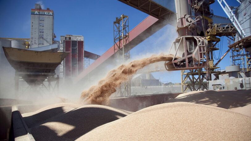 El cierre temporario de las exportaciones de harina y aceite de soja le costó al país 10,4 millones de dólares