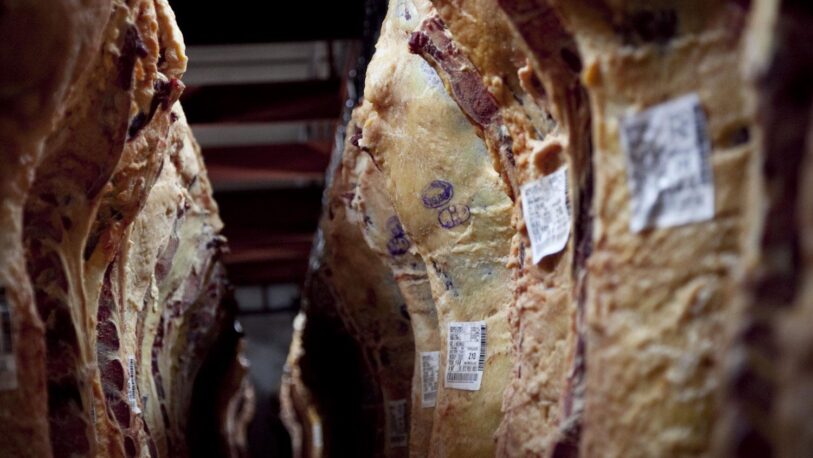 Se define si extiende o levanta las restricciones para exportar carne
