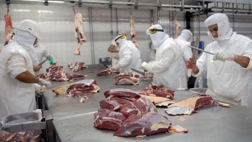 En el último año se exportaron 43 mil toneladas menos de carne