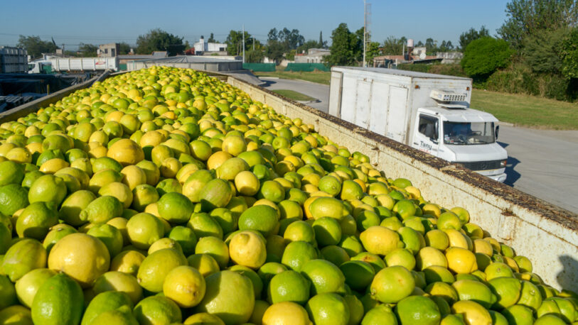 Bloquearon rutas en Tucumán y peligra la exportación de limones