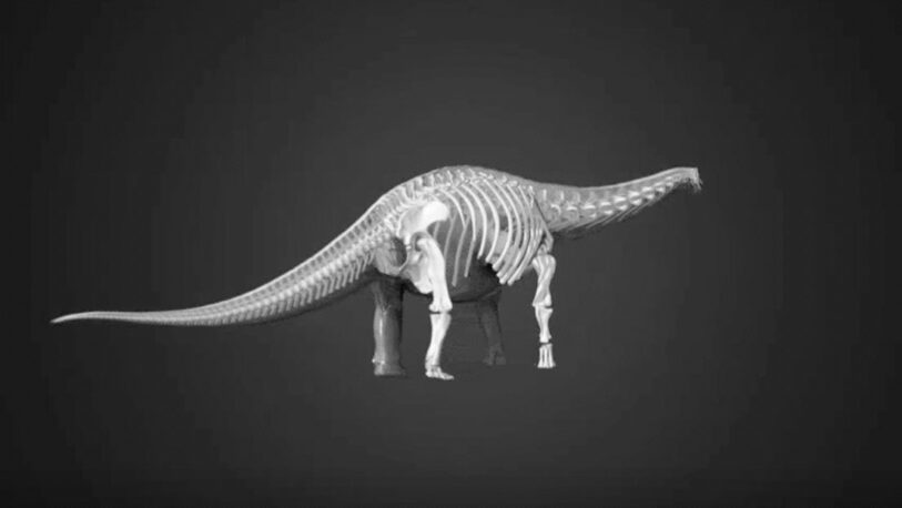 Australia: Hallaron restos de uno de los dinosaurios más grandes del mundo