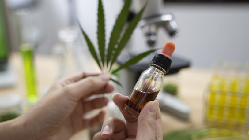 Según una encuesta, el 17,6% de las personas que usan cannabis lo hacen con fines medicinales