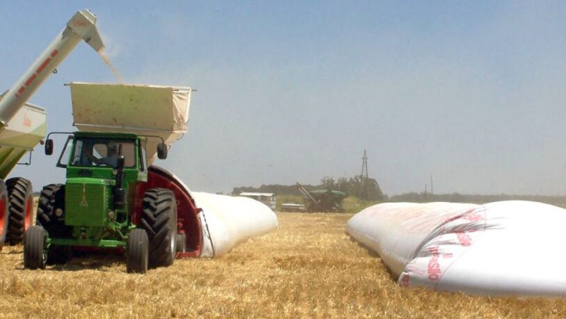 La guerra entre Rusia y Ucrania dispara el precio de la soja, el trigo y el maíz
