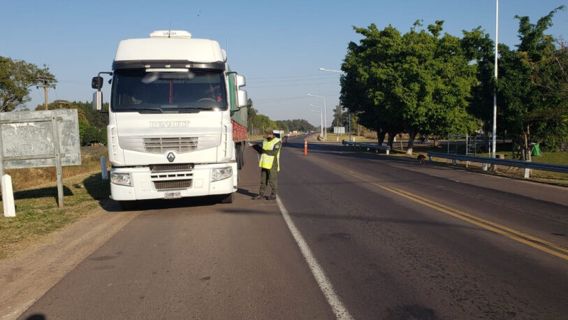 Corrientes: decomisaron 196 toneladas de soja que eran trasladadas en siete camiones