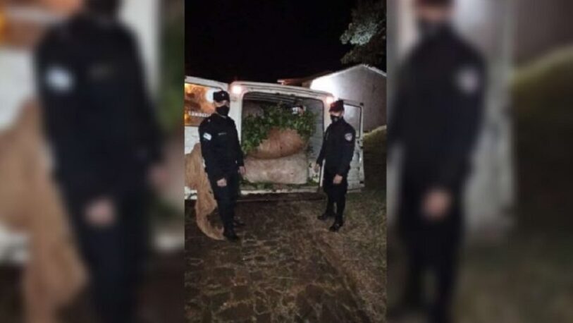 Delitos rurales: la Policía frustró el robo de 400 kilos de yerba mate