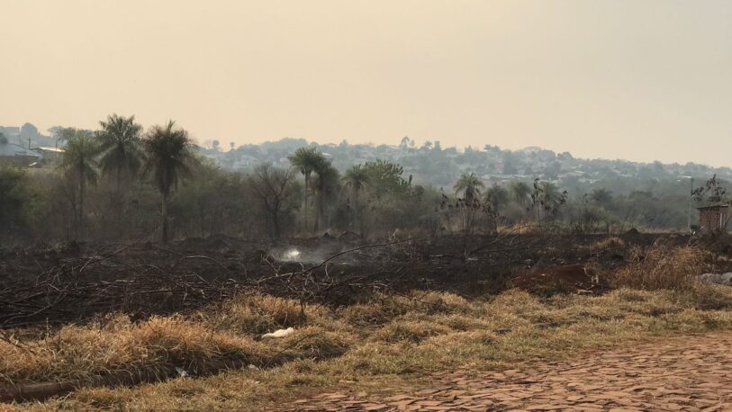 Garupá: Un incendio hizo “desaparecer” un yerbal