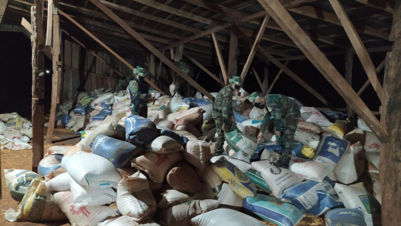 Secuestran casi 274 toneladas de maíz en El Soberbio