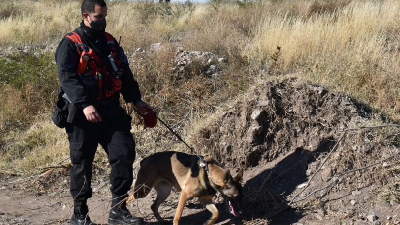 Un perro detectó el último rastro de Guadalupe Lucero en una ruta