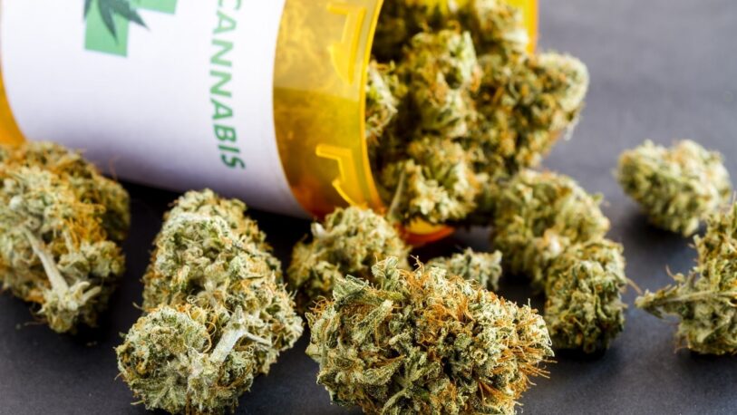 Seis de cada diez argentinos conocen a alguien que utiliza cannabis con fines medicinales