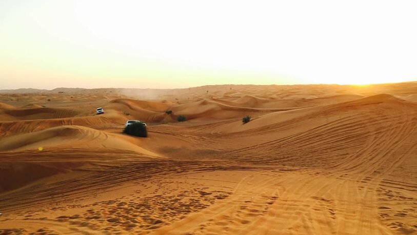 Planean cultivar “superalimentos” en el desierto de Dubai