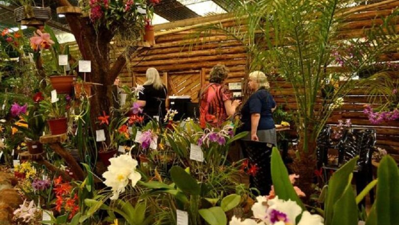 La Fiesta Nacional de la Orquídea y Provincial de la Flor será en octubre