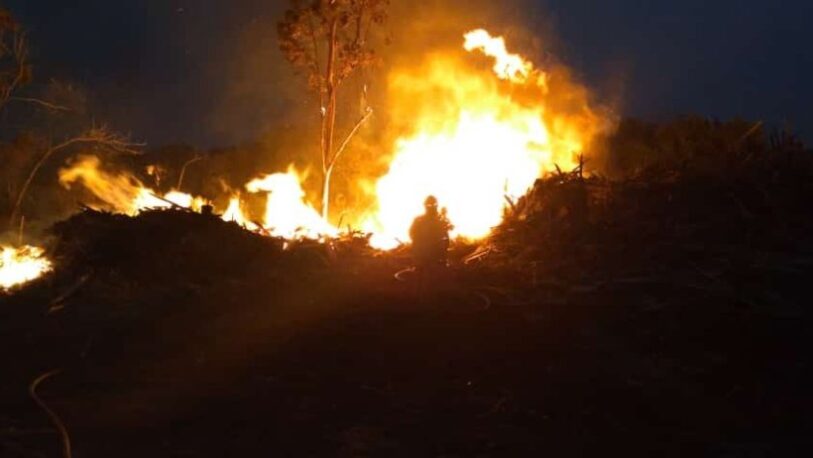 Incendios forestales: más de 30 hectáreas fueron consumidas en El Soberbio