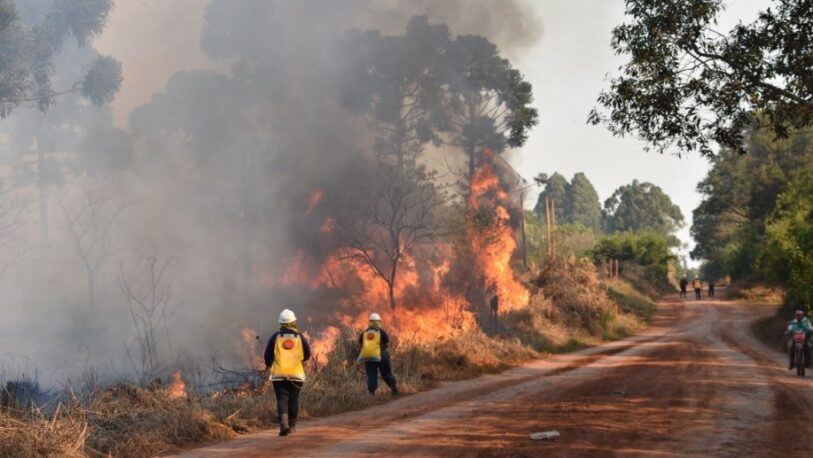 Varias localidades de Misiones afectadas por incendios