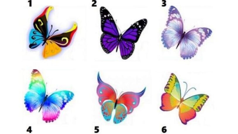 Nuevo test: Elegí la mariposa que más te guste y descubrí aspectos desconocidos de tu personalidad